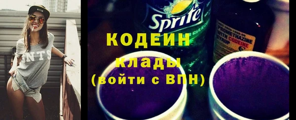 прущие грибы Гусев