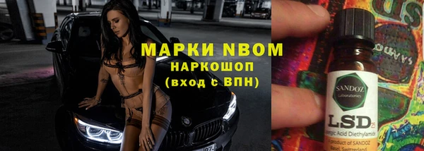 прущие грибы Гусев
