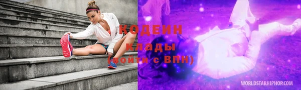 прущие грибы Гусев