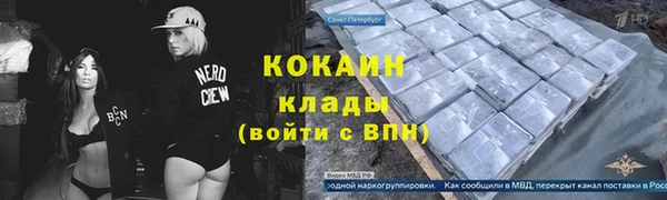 прущие грибы Гусев