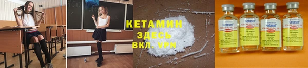 прущие грибы Гусев