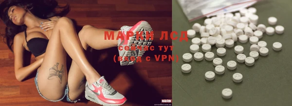 прущие грибы Гусев