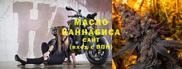 метадон Гусь-Хрустальный