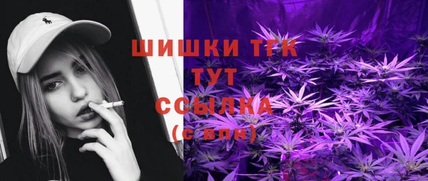 метадон Гусь-Хрустальный