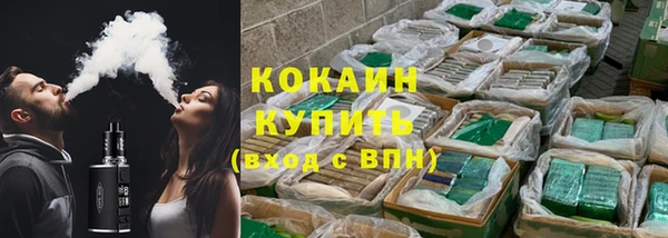 прущие грибы Гусев