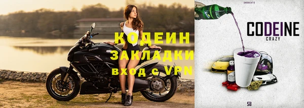 прущие грибы Гусев