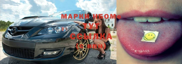 прущие грибы Гусев